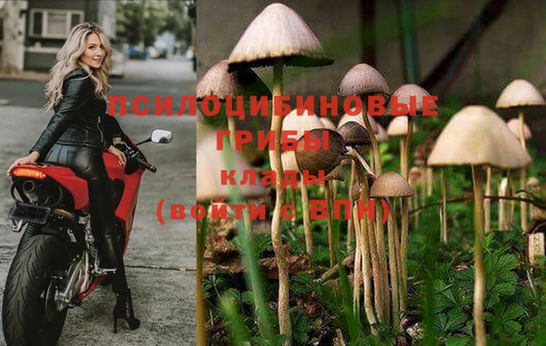 кокс Тайга